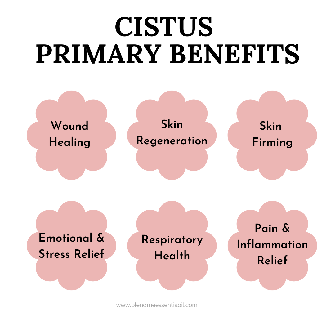 Cistus/Rock Rose/Labdanum Essential Oil 10ml 岩蔷薇精油