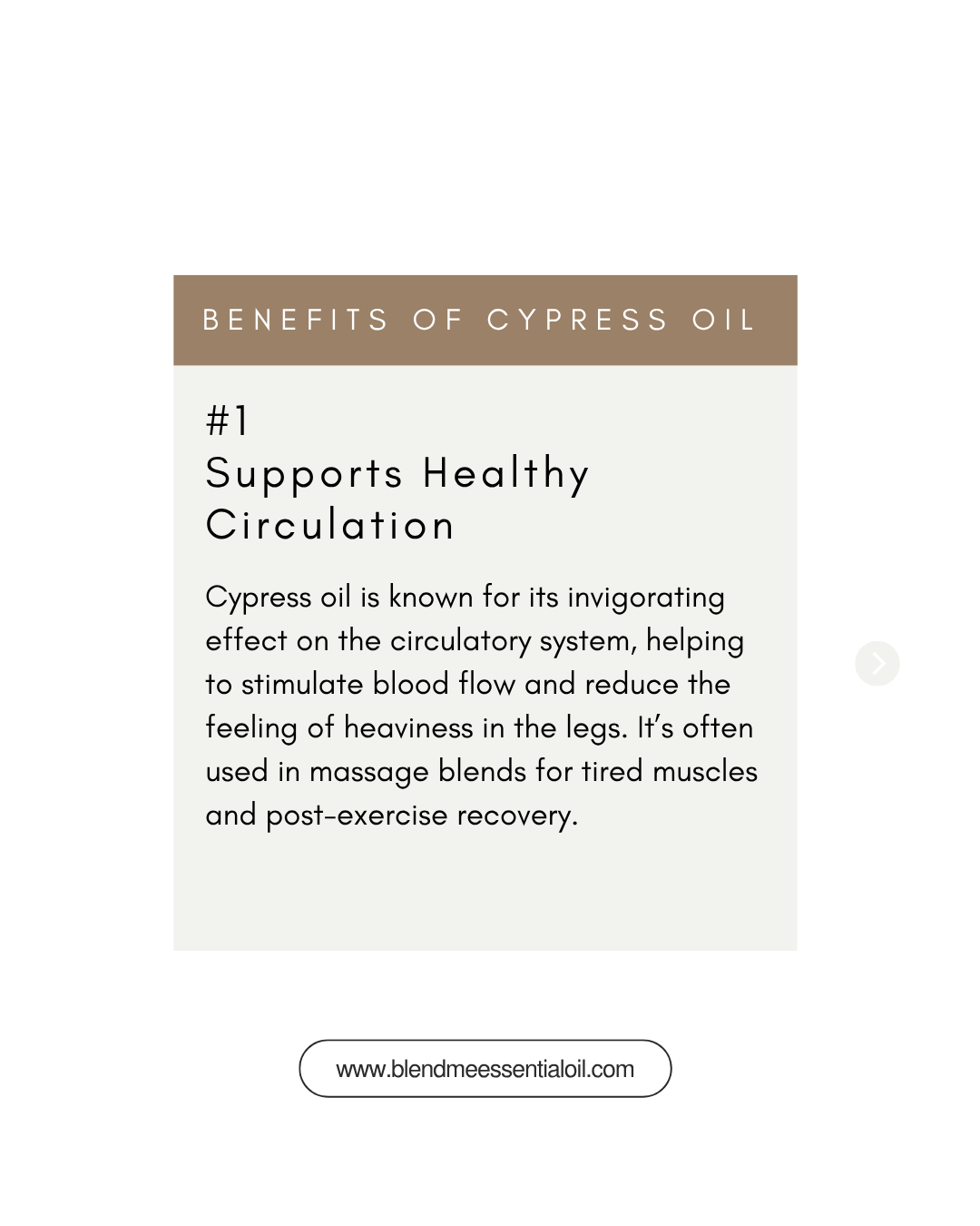 Cypress Essential Oil 10ml 丝柏精油