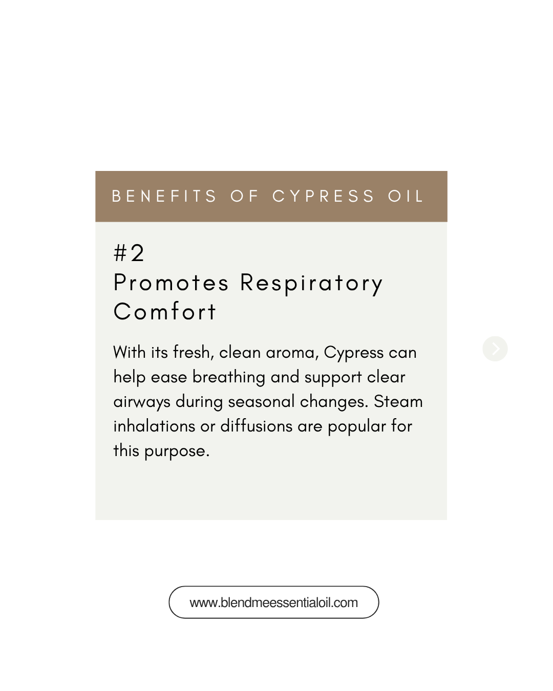 Cypress Essential Oil 10ml 丝柏精油