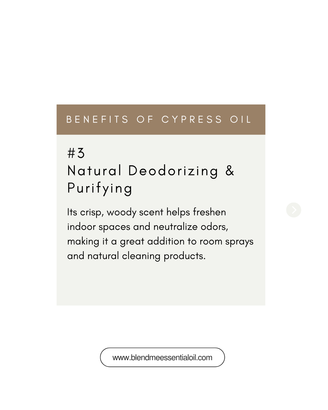 Cypress Essential Oil 10ml 丝柏精油