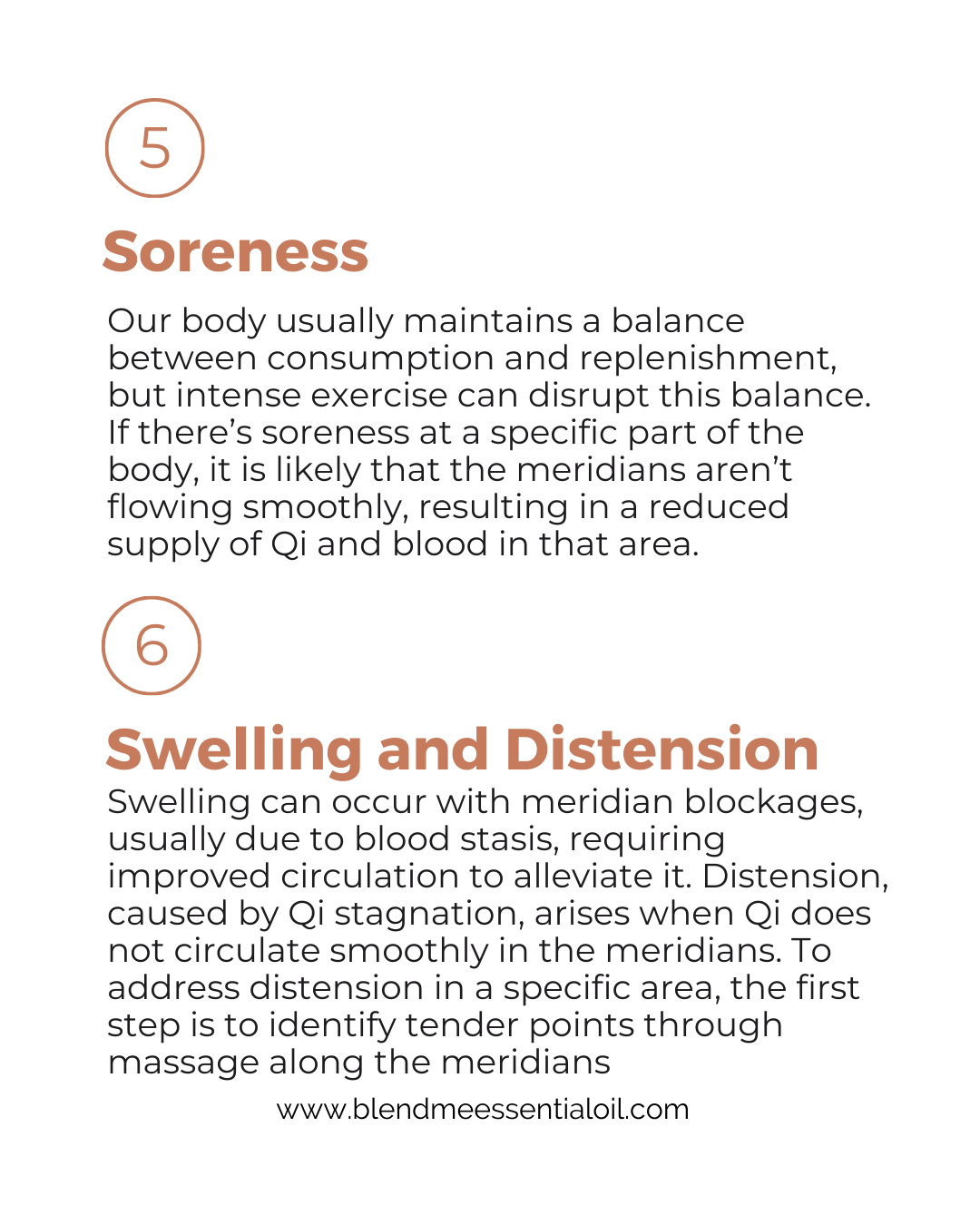 Meridian Body Massage Oil 100ml