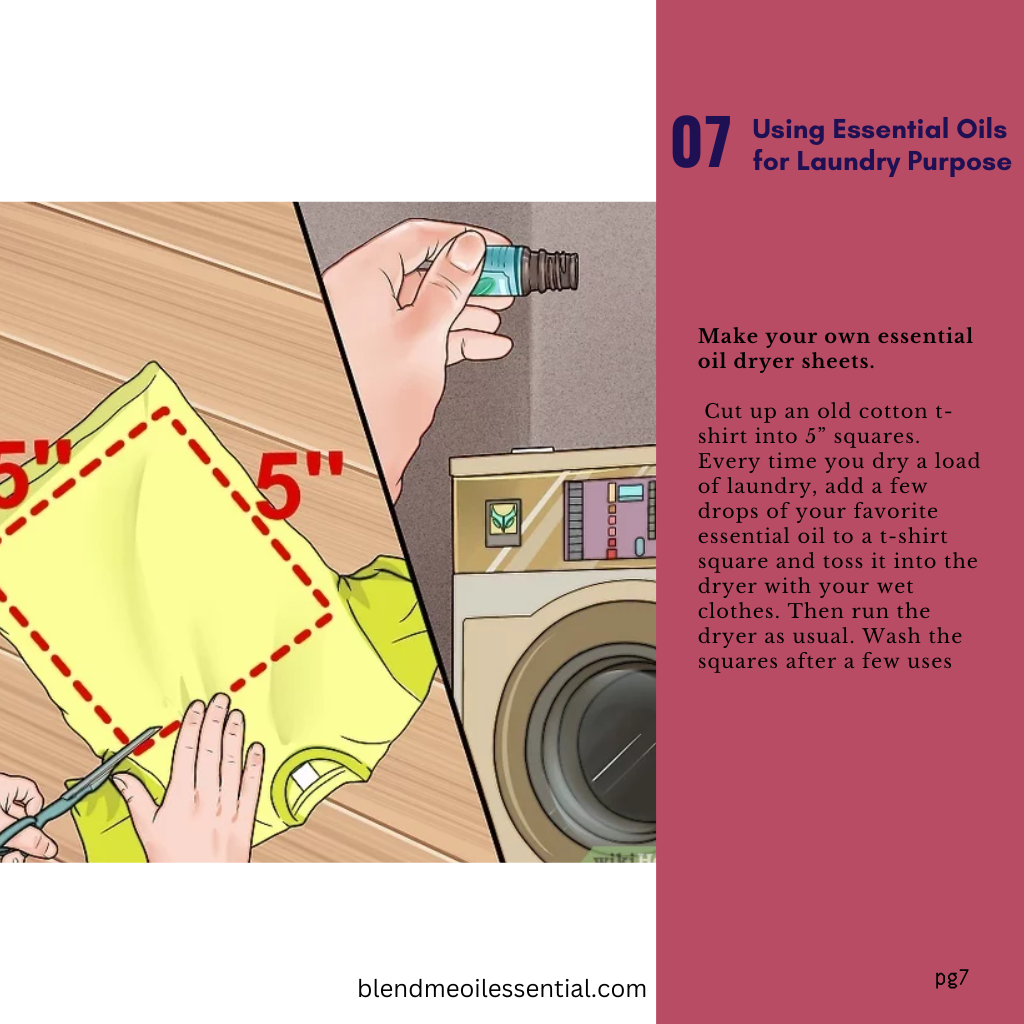 True Lavender Oil 10ml 法国薰衣草油