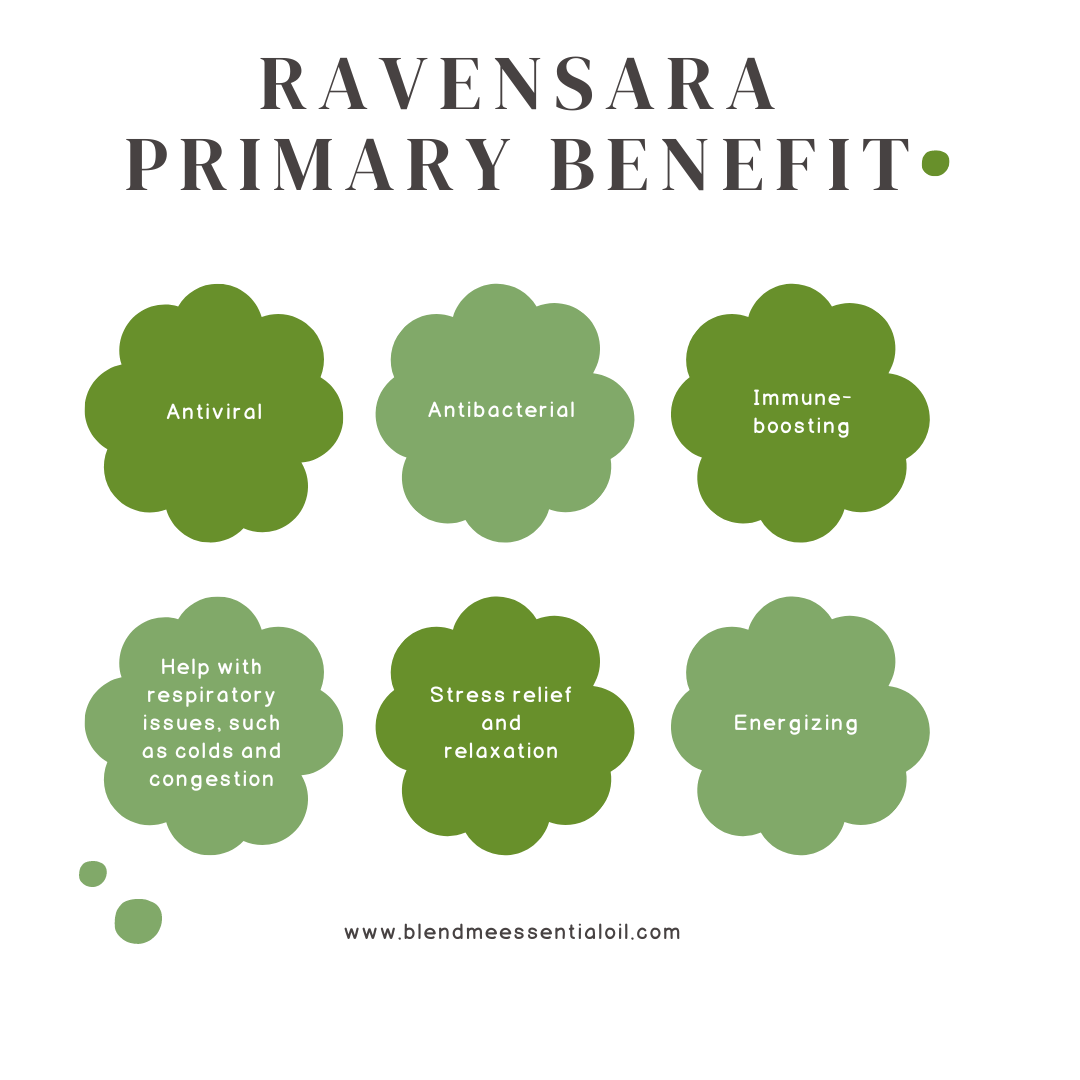 Ravensara Essential Oil 10ml 羅文沙葉油