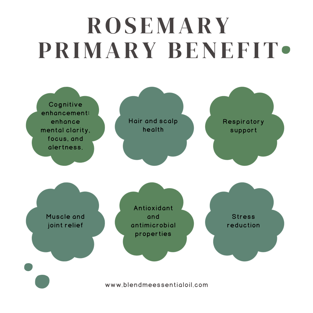 Rosemary Essential Oil 10ml 迷失香精油