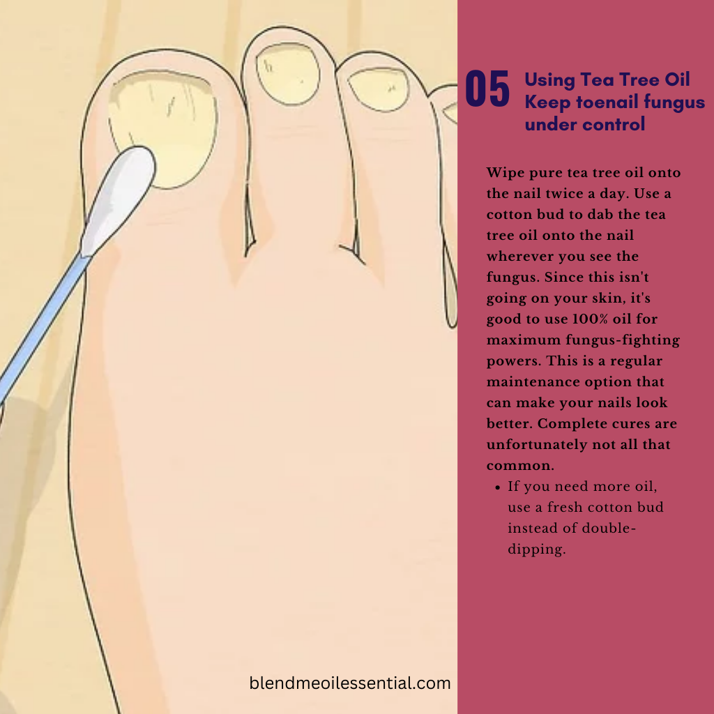 Tea Tree Oil 10ml 茶树油