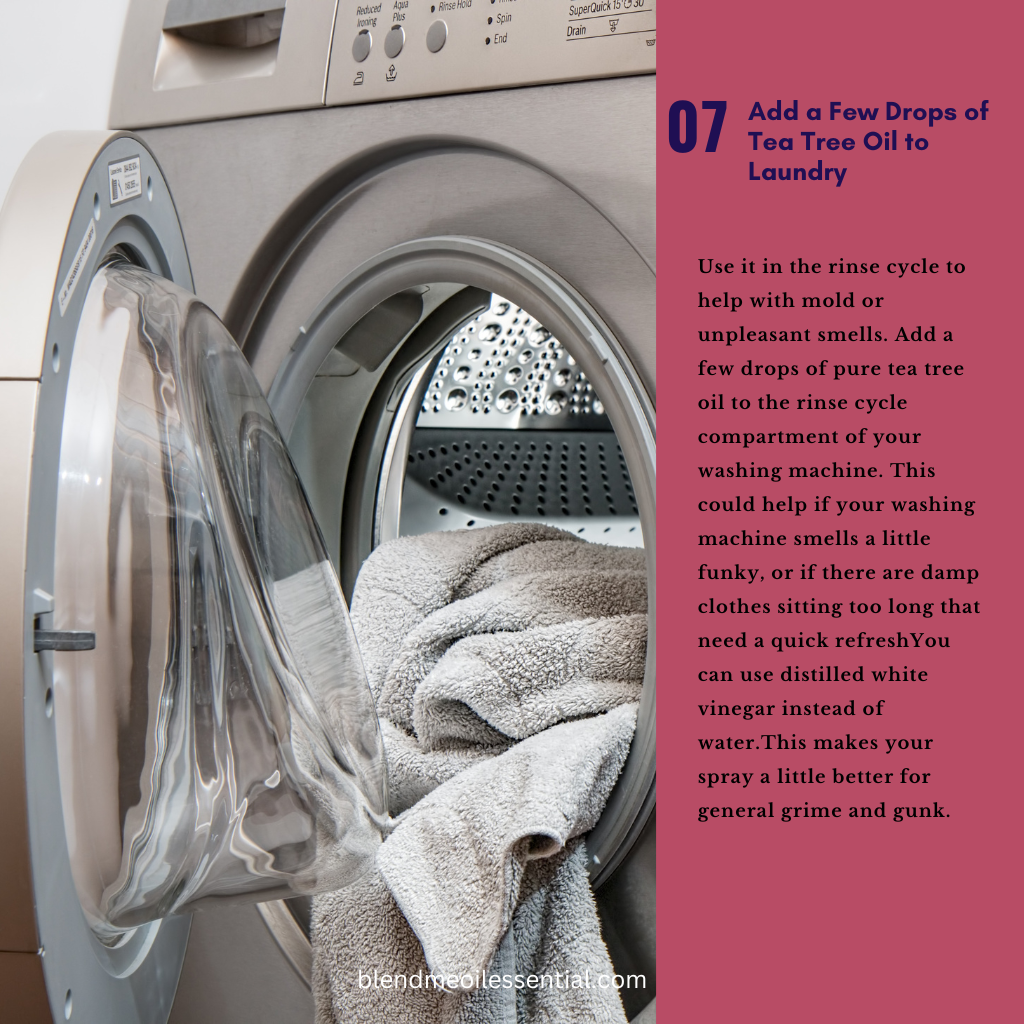 Tea Tree Oil 10ml 茶树油