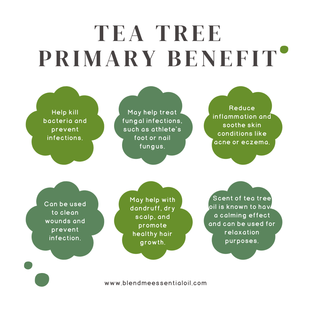 Tea Tree Oil 10ml 茶树油