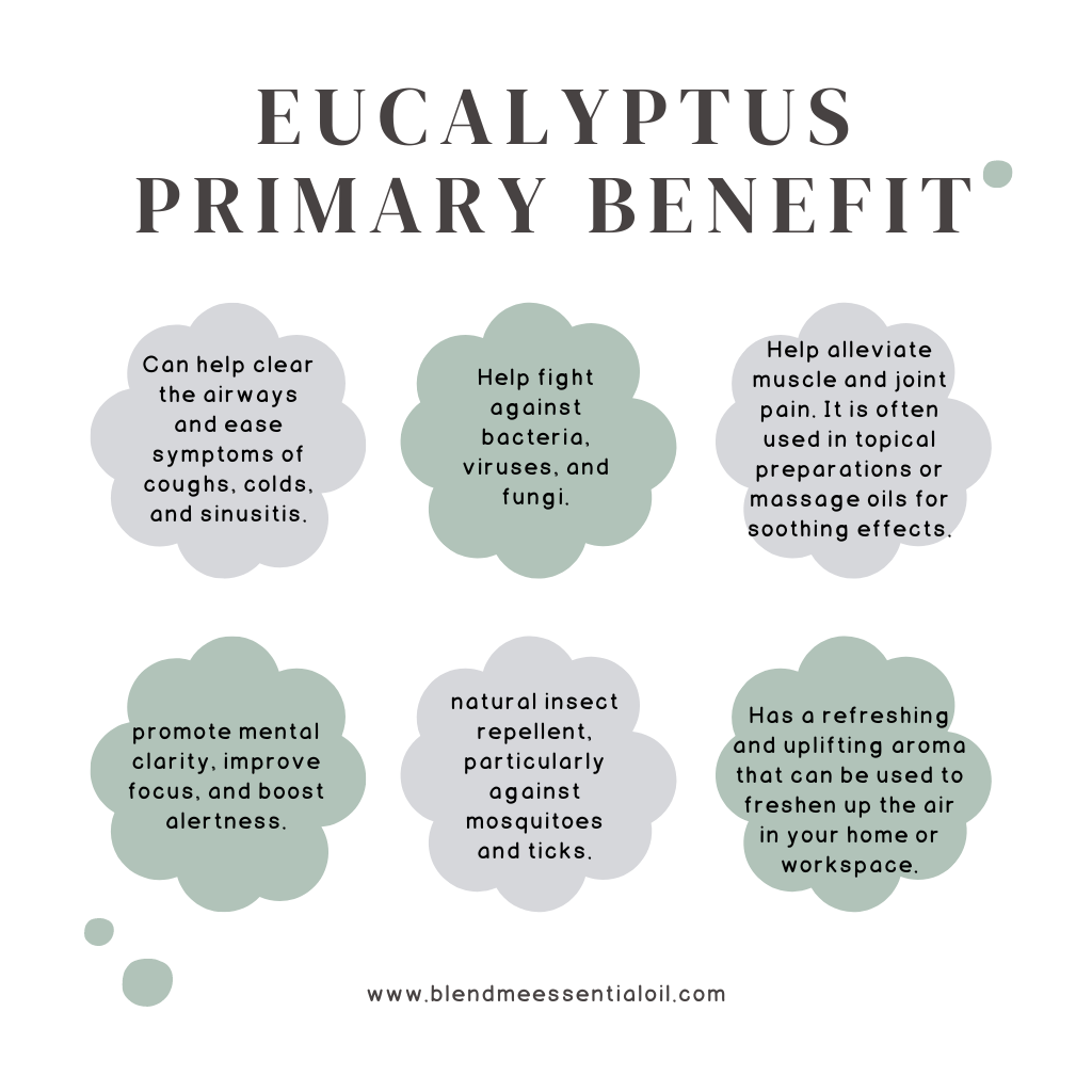 Eucalyptus Essential Oil 10ml 蓝胶尤加利精油