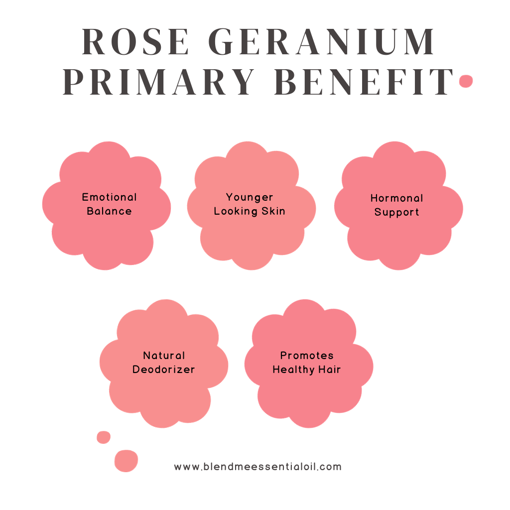 Rose Geranium Essential Oil 10ml 玫瑰天竺葵精油