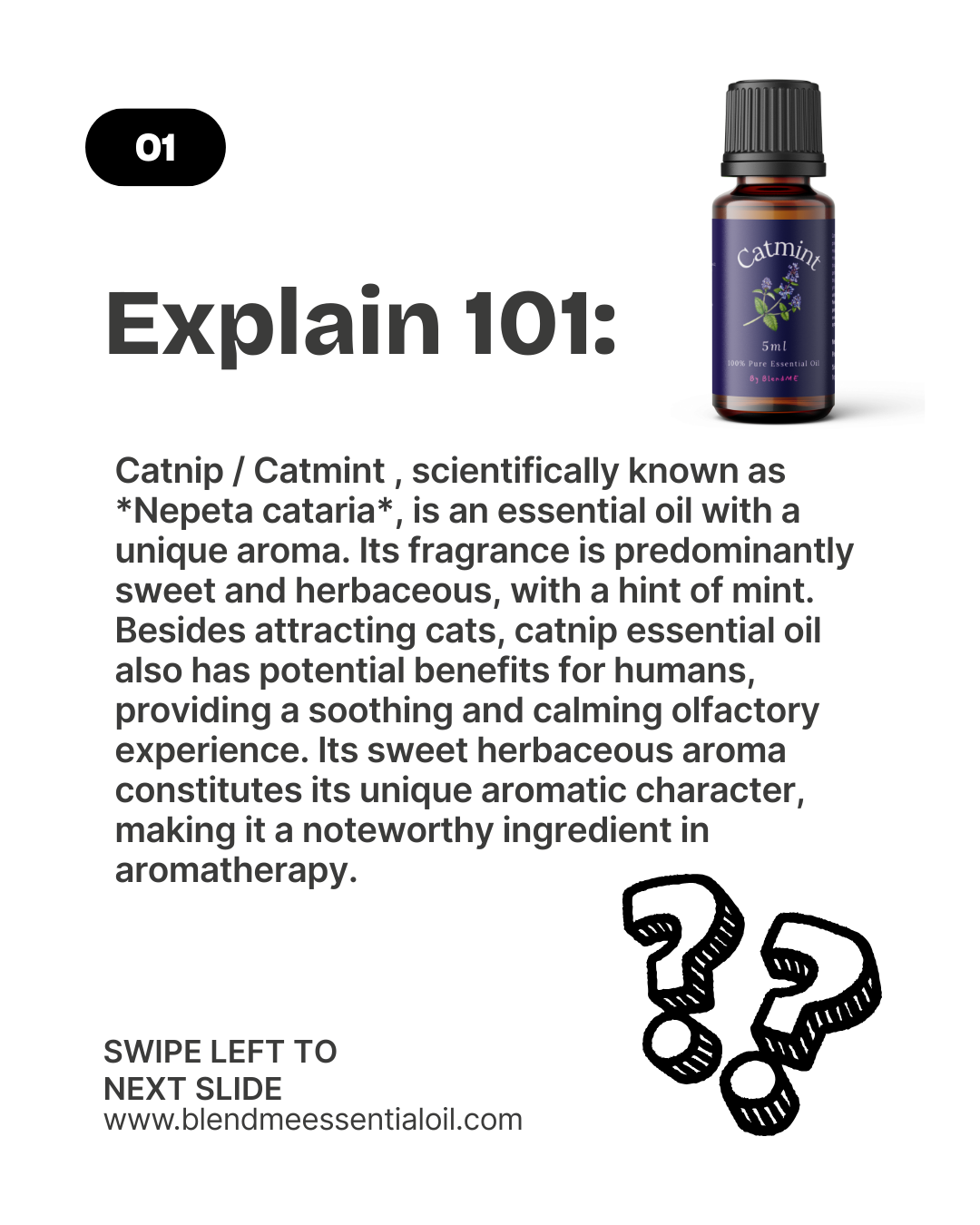 Catmint/Catnip Essential Oil 5ml  猫薄荷精油