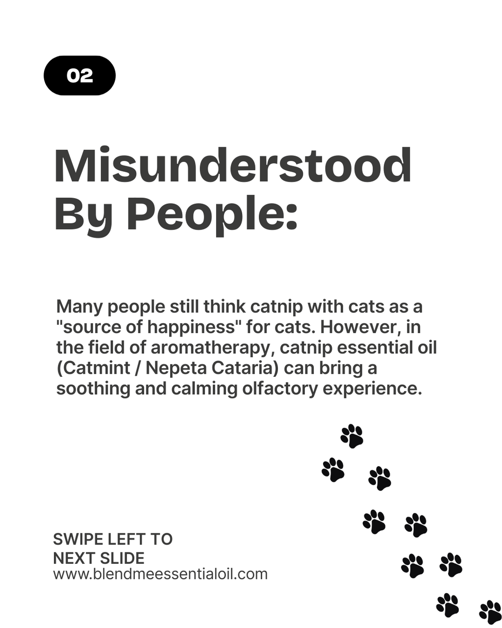 Catmint/Catnip Essential Oil 5ml  猫薄荷精油