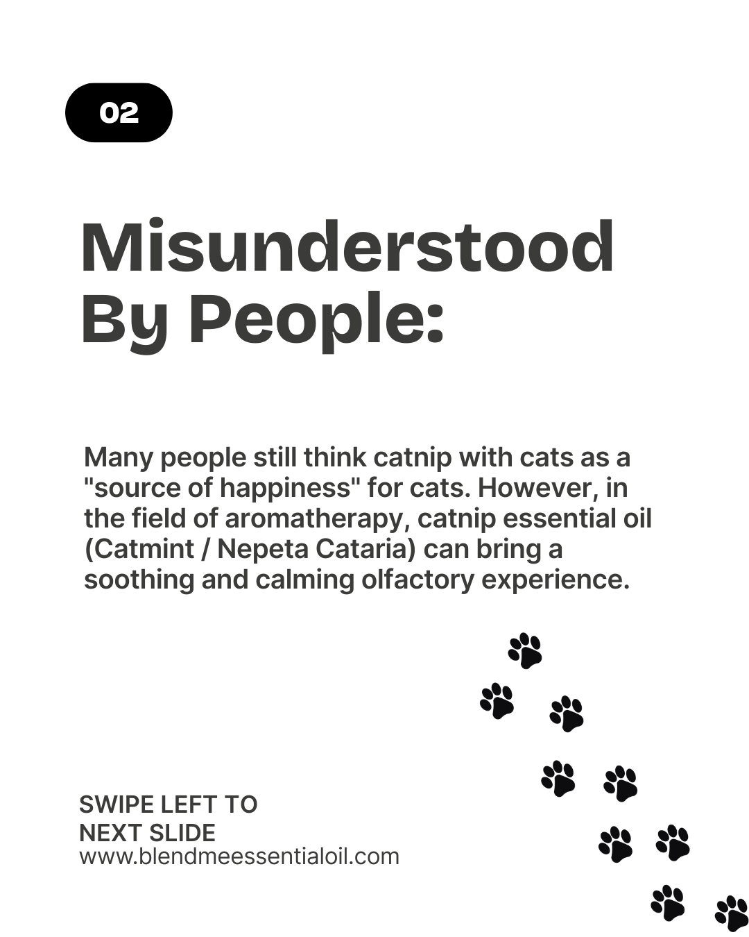 Catmint/Catnip Essential Oil 5ml  猫薄荷精油