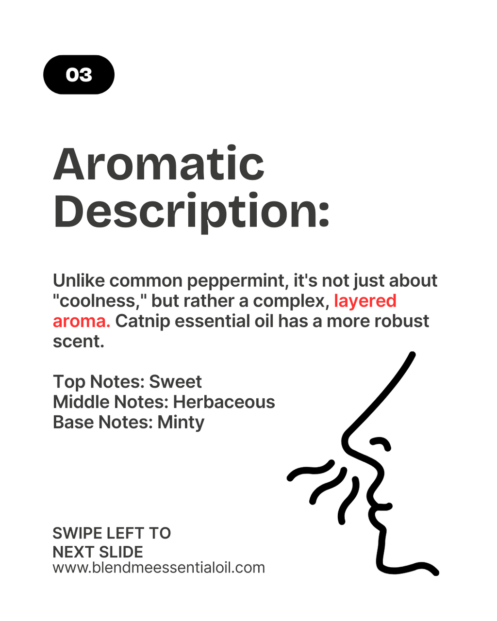 Catmint/Catnip Essential Oil 5ml  猫薄荷精油