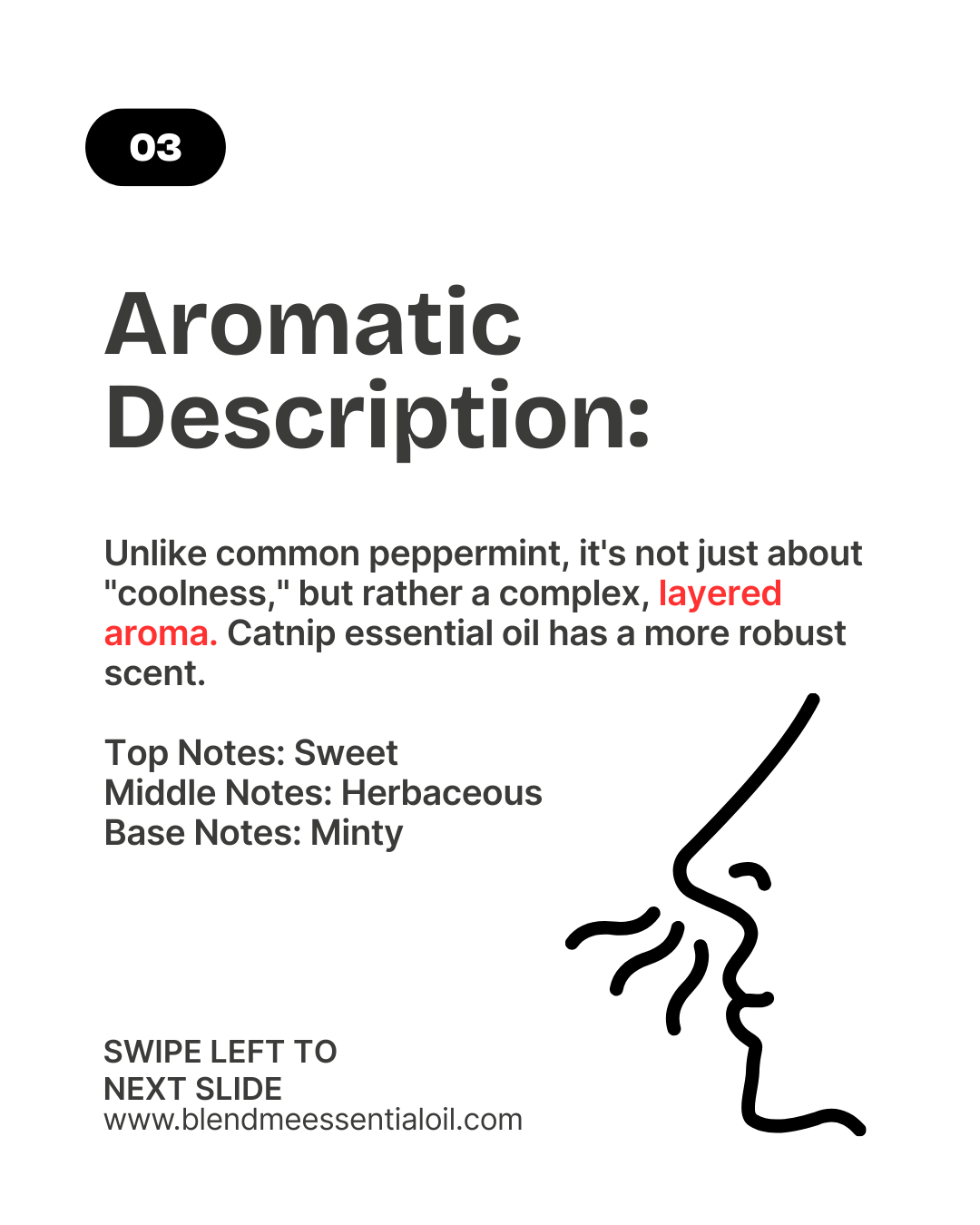 Catmint/Catnip Essential Oil 5ml  猫薄荷精油