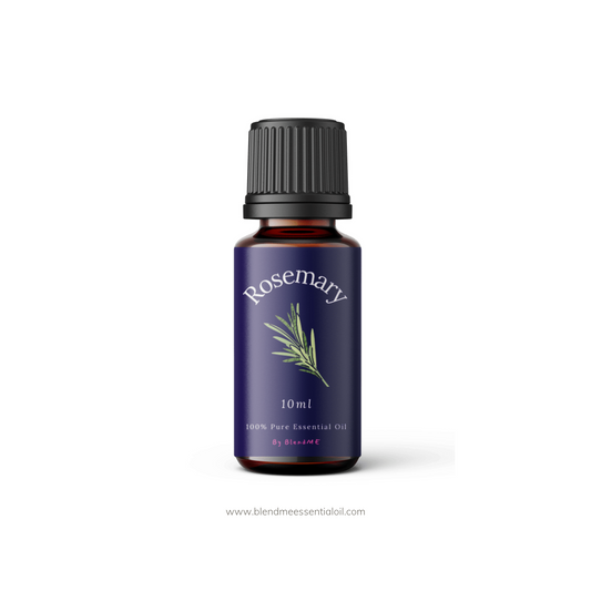 Rosemary Pure Essential Oil 10ml (Undiluted) 迷失香精油