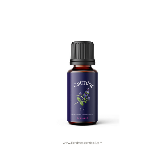 Catmint/Catnip Essential Oil 5ml (Undiluted) 猫薄荷精油